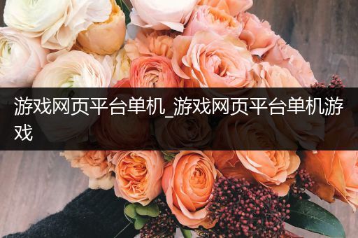 游戏网页平台单机_游戏网页平台单机游戏