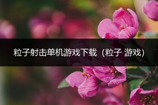 粒子射击单机游戏下载（粒子 游戏）