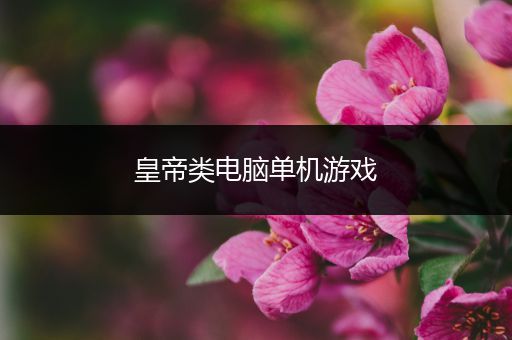 皇帝类电脑单机游戏