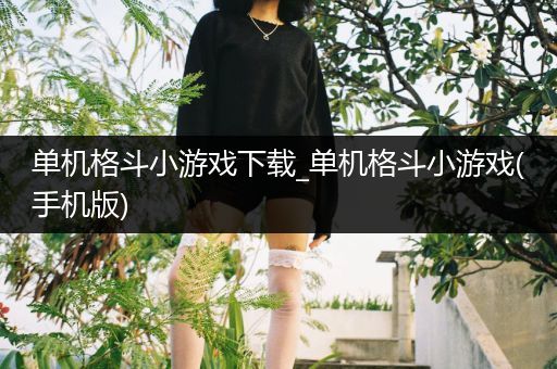 单机格斗小游戏下载_单机格斗小游戏(手机版)