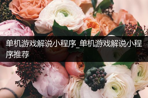 单机游戏解说小程序_单机游戏解说小程序推荐