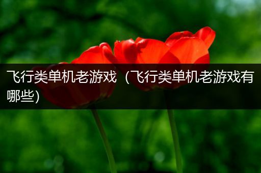 飞行类单机老游戏（飞行类单机老游戏有哪些）