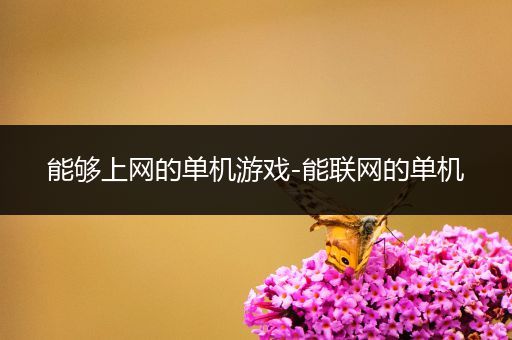 能够上网的单机游戏-能联网的单机