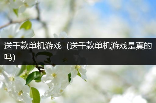 送千款单机游戏（送千款单机游戏是真的吗）