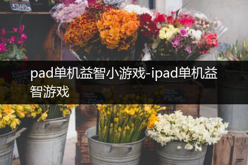 pad单机益智小游戏-ipad单机益智游戏