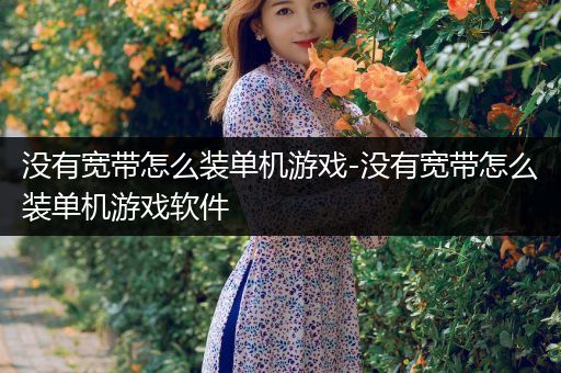 没有宽带怎么装单机游戏-没有宽带怎么装单机游戏软件
