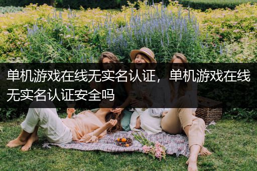 单机游戏在线无实名认证，单机游戏在线无实名认证安全吗