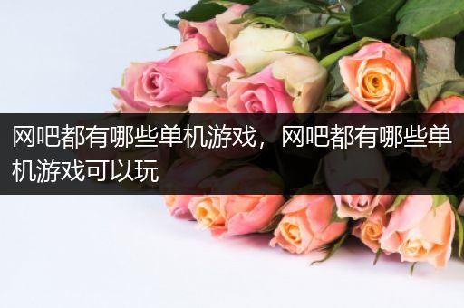 网吧都有哪些单机游戏，网吧都有哪些单机游戏可以玩