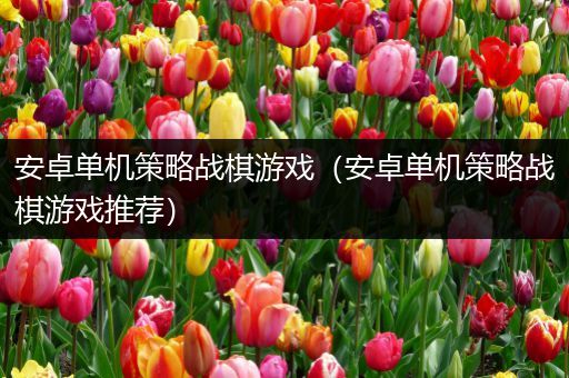 安卓单机策略战棋游戏（安卓单机策略战棋游戏推荐）