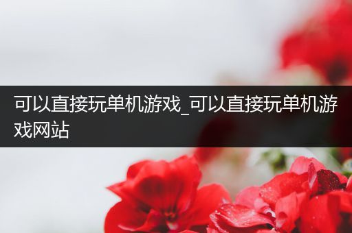 可以直接玩单机游戏_可以直接玩单机游戏网站