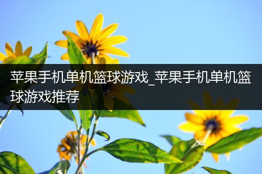 苹果手机单机篮球游戏_苹果手机单机篮球游戏推荐