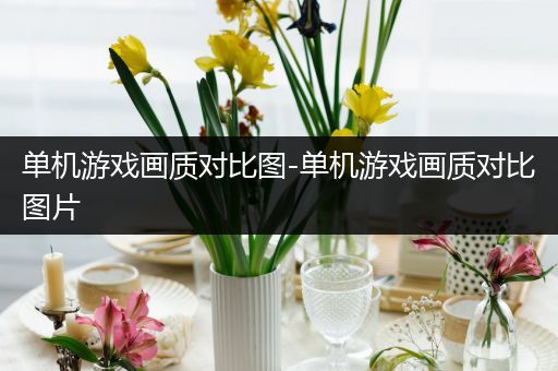 单机游戏画质对比图-单机游戏画质对比图片