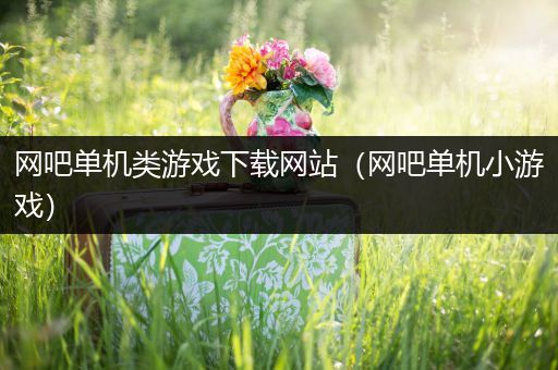 网吧单机类游戏下载网站（网吧单机小游戏）