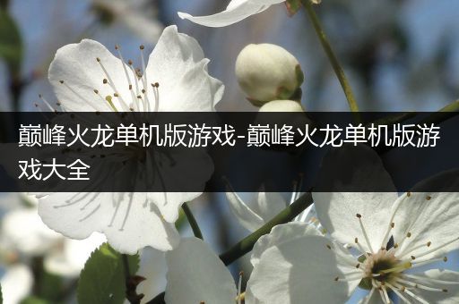 巅峰火龙单机版游戏-巅峰火龙单机版游戏大全