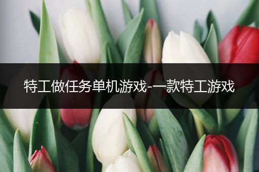特工做任务单机游戏-一款特工游戏