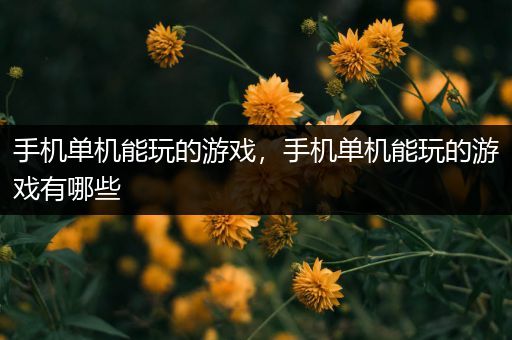 手机单机能玩的游戏，手机单机能玩的游戏有哪些