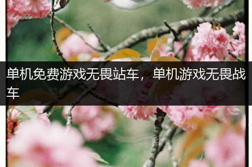 单机免费游戏无畏站车，单机游戏无畏战车