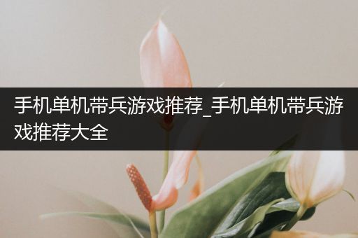 手机单机带兵游戏推荐_手机单机带兵游戏推荐大全