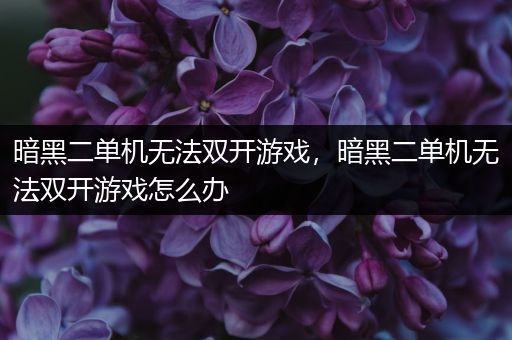 暗黑二单机无法双开游戏，暗黑二单机无法双开游戏怎么办