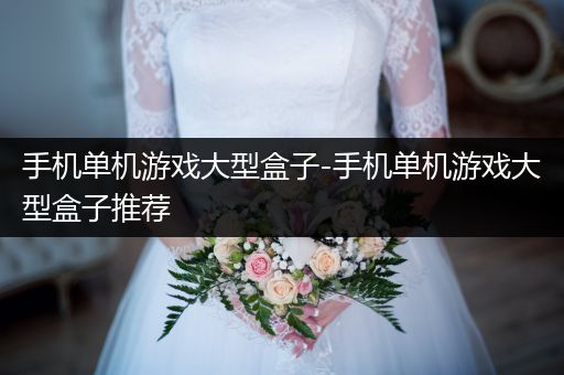 手机单机游戏大型盒子-手机单机游戏大型盒子推荐