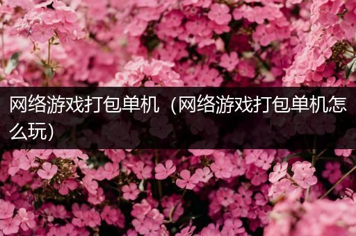 网络游戏打包单机（网络游戏打包单机怎么玩）