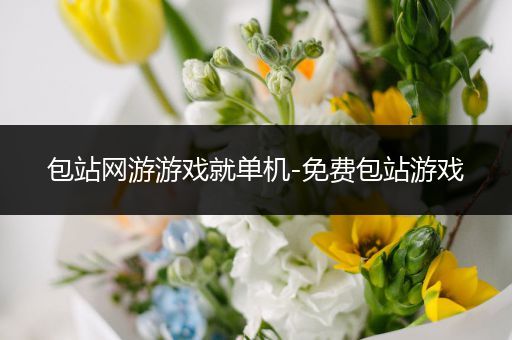 包站网游游戏就单机-免费包站游戏