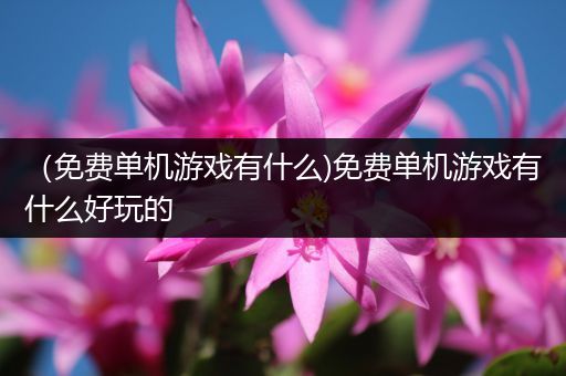 （免费单机游戏有什么)免费单机游戏有什么好玩的