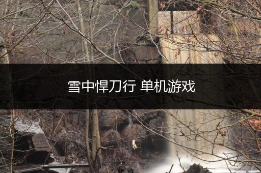 雪中悍刀行 单机游戏