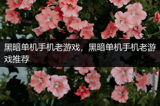 黑暗单机手机老游戏，黑暗单机手机老游戏推荐