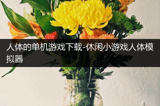 人体的单机游戏下载-休闲小游戏人体模拟器