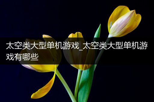 太空类大型单机游戏_太空类大型单机游戏有哪些