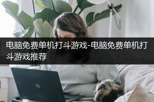 电脑免费单机打斗游戏-电脑免费单机打斗游戏推荐