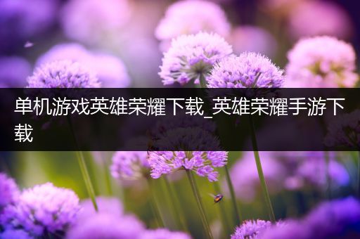 单机游戏英雄荣耀下载_英雄荣耀手游下载