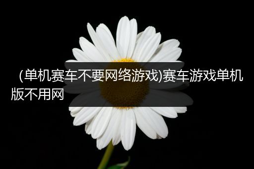 （单机赛车不要网络游戏)赛车游戏单机版不用网