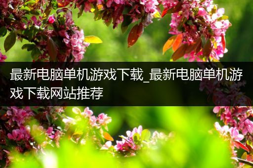 最新电脑单机游戏下载_最新电脑单机游戏下载网站推荐