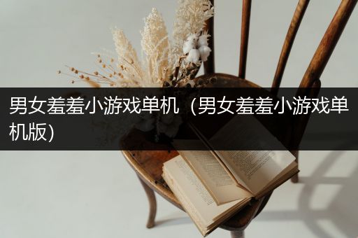 男女羞羞小游戏单机（男女羞羞小游戏单机版）