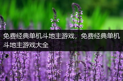 免费经典单机斗地主游戏，免费经典单机斗地主游戏大全