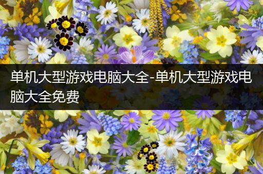 单机大型游戏电脑大全-单机大型游戏电脑大全免费