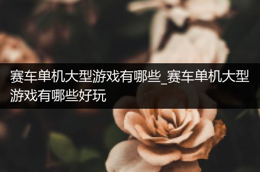 赛车单机大型游戏有哪些_赛车单机大型游戏有哪些好玩