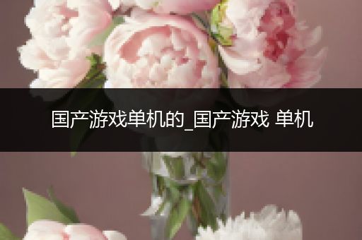 国产游戏单机的_国产游戏 单机