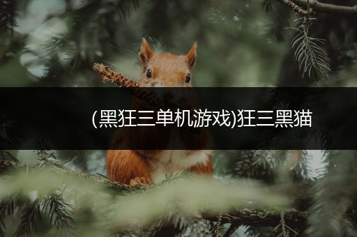 （黑狂三单机游戏)狂三黑猫