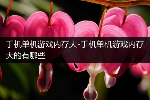 手机单机游戏内存大-手机单机游戏内存大的有哪些