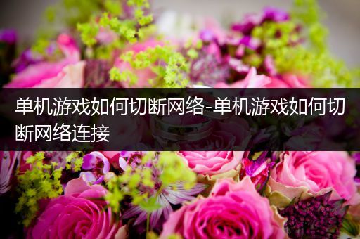 单机游戏如何切断网络-单机游戏如何切断网络连接