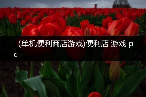 （单机便利商店游戏)便利店 游戏 pc