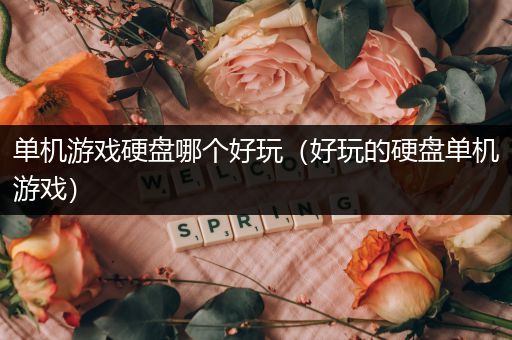 单机游戏硬盘哪个好玩（好玩的硬盘单机游戏）