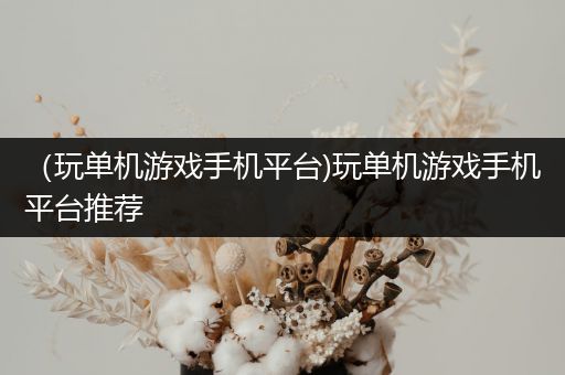 （玩单机游戏手机平台)玩单机游戏手机平台推荐