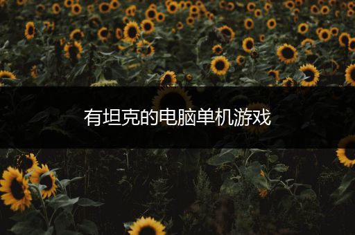 有坦克的电脑单机游戏