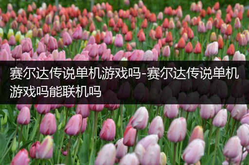 赛尔达传说单机游戏吗-赛尔达传说单机游戏吗能联机吗