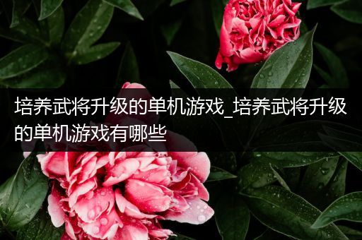培养武将升级的单机游戏_培养武将升级的单机游戏有哪些