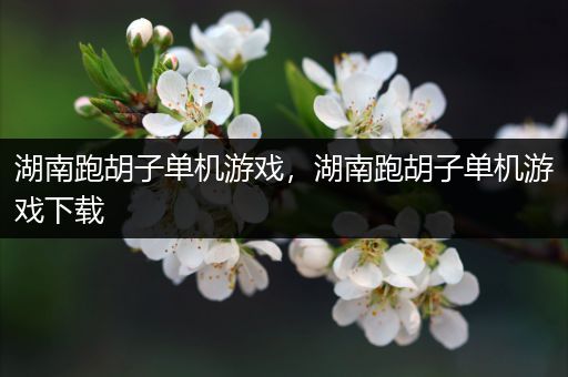 湖南跑胡子单机游戏，湖南跑胡子单机游戏下载